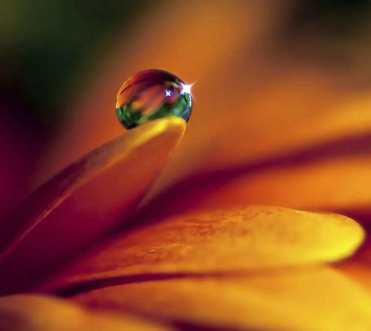 Life Coaching Certification in India - Quantum-Touch Practitioner